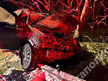 Мегаполис: в Ленобласти ребенок впал в кому после ДТП