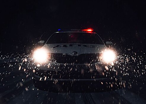 В Горном Алтае выявили новый очаг обитания снежного барса