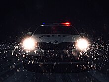 В Горном Алтае выявили новый очаг обитания снежного барса