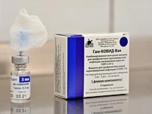 Отдых за границей: Турция будет принимать у россиян документы о вакцинации любым препаратом