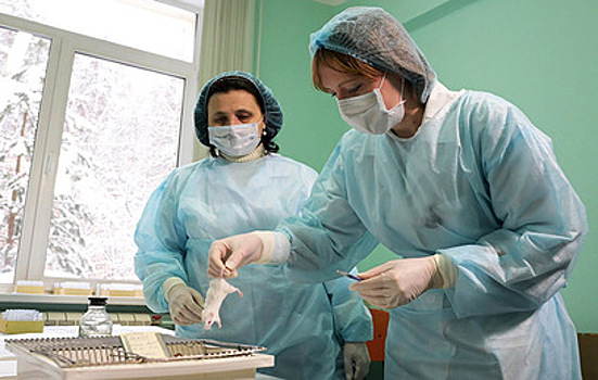 Роспотребнадзор опроверг риск эпидемии "мышиной лихорадки"