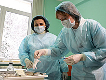 Роспотребнадзор опроверг риск эпидемии "мышиной лихорадки"