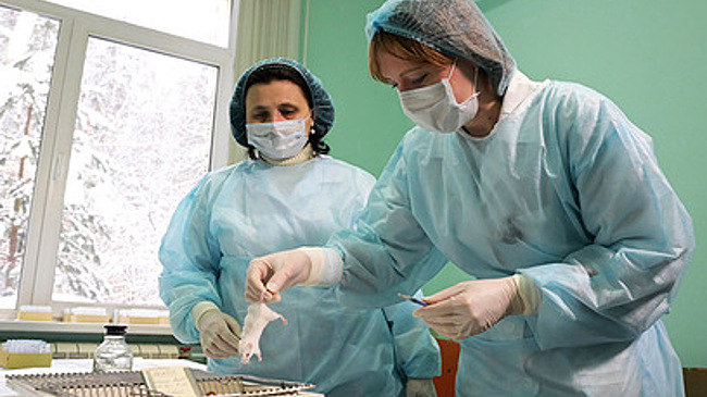 Роспотребнадзор опроверг риск эпидемии "мышиной лихорадки"