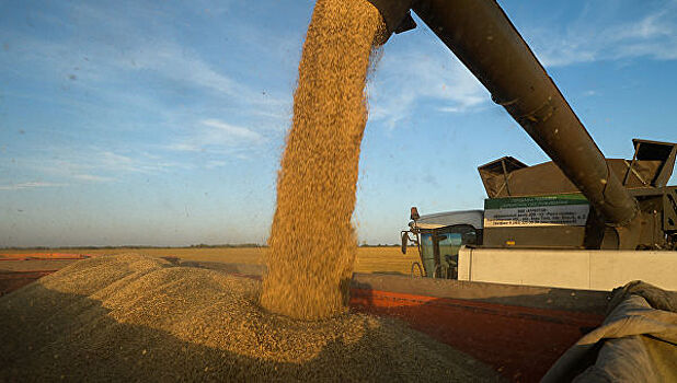 Цены на зерно достигли исторического максимума
