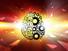 Видео: Иллюзия заставляет мозг "путешествовать во времени"