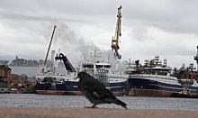 На фоне санкций «Адмиралтейские верфи» в Санкт-Петербурге отправили часть работников в простой
