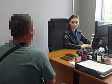 Полицейские Кабардино-Балкарии расследуют аферу при поставке почти 10 тысяч саженцев слив и яблонь