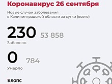 У 180 — ОРВИ, у 27 — пневмония: подробности о ситуации с ковидом в Калининградской области