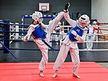 Сеул и Пхеньян попытаются добиться признания тхэквондо объектом наследия ЮНЕСКО