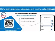 Нижегородцы могут получать судебные извещения на портале «Госуслуги»