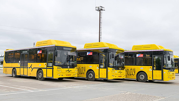 Одиннадцать автобусов Ноябрьска превратились в музеи на колесах. ФОТО