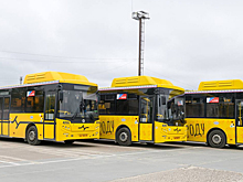 Одиннадцать автобусов Ноябрьска превратились в музеи на колесах. ФОТО