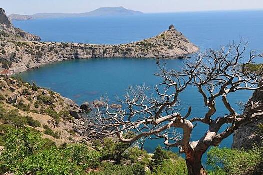 Специалисты рассказали о высоком спросе на летний отдых в Крыму