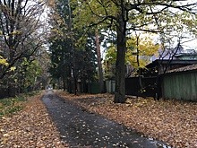 Тридцать дорог к СНТ капитально ремонтируются на территории Подмосковья