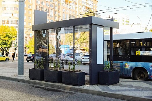 Остановки в винограде: экологический проект школьников реализуется в Краснодаре