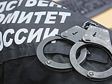 Житель Надыма ответит перед судом за нападение на полицейского