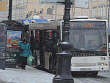 Сколько будет стоить проезд на маршрутках в Ленобласти с 1 января