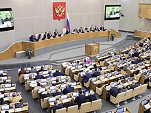 Лидеры фракций Госдумы поддержали результаты референдумов