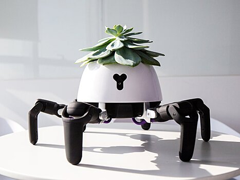 В Китае создан робот, который помогает растениям