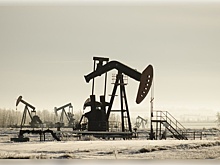 В Уватском районе Тюменской области нефтяную скважину сдают в аренду