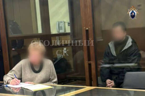 Суд в Москве отправил в СИЗО мужчину по делу об истязании детей