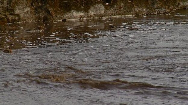 В Бессоновском районе мост исчез под паводковыми водами
