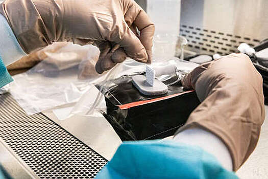 NASA: начат новый этап "космического земледелия" на МКС