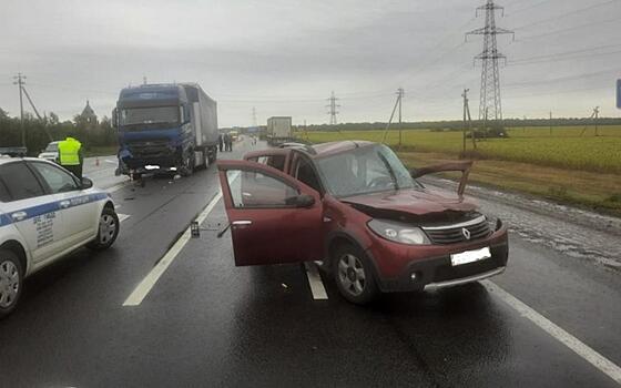 В ДТП с фурой в Михайловском районе погиб 80-летний водитель Renault Sandero