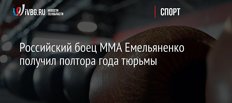Российский боец MMA Емельяненко получил полтора года тюрьмы