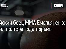Российский боец MMA Емельяненко получил полтора года тюрьмы