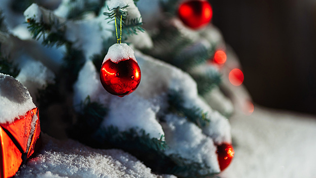 Горе-дрифтёр на «Жигулях» сбил новогоднюю ёлку в центре города