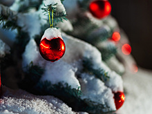 Горе-дрифтёр на «Жигулях» сбил новогоднюю ёлку в центре города