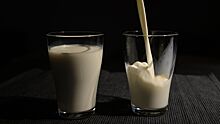 Диетолог назвала негативные последствия употребления растительного молока вместо настоящего