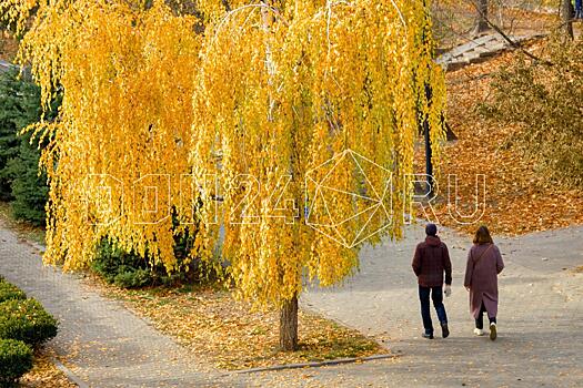 В следующем году у дончан не будет шестидневок