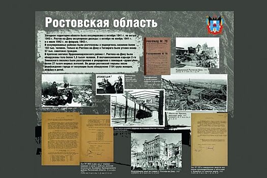 Прения по делу о признании геноцида мирного населения Дона в Великую Отечественную начнутся 15 марта