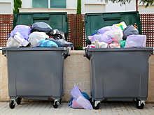 Россиянам напомнили, что нельзя выбрасывать в мусор