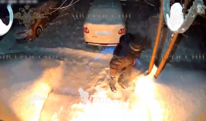 В Перми полицейскими задержан подозреваемый в покушении на убийство шести человек путем поджога