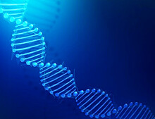 В МГУ выявили механизм влияния лишних хромосом на пространственную организацию генома