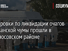 В Ленобласти потренируются бороться с чумой свиней