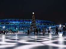 Каток в "Лужниках" будет работать до 15 марта