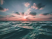 Новый вид рыб, живущих в полной темноте, открыли в Индии