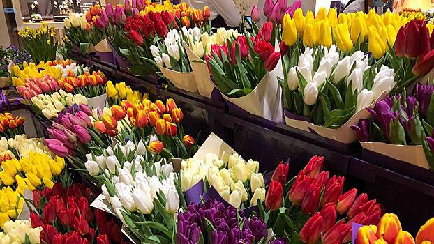 Два павильона под цветочные магазины на юге Москвы выставили на торги