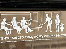 Милонов раскритиковал идею штрафов за отказ уступить место беременным