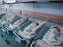 На Кубани в новогоднюю ночь на свет появились 40 детей