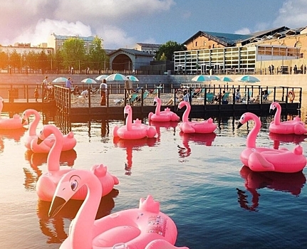 Фоторепортаж: как выглядит пляж с розовыми фламинго на Новой Голландии