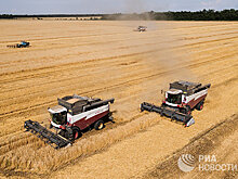 The Washington post (США): Почему Россия привлекает белых фермеров из ЮАР