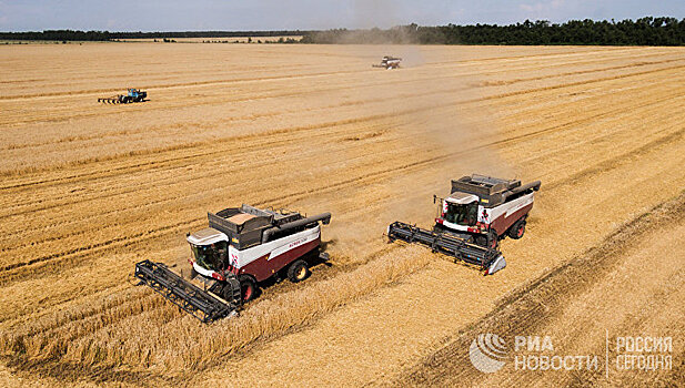 Economist (Великобритания): Россия стала сельскохозяйственной державой