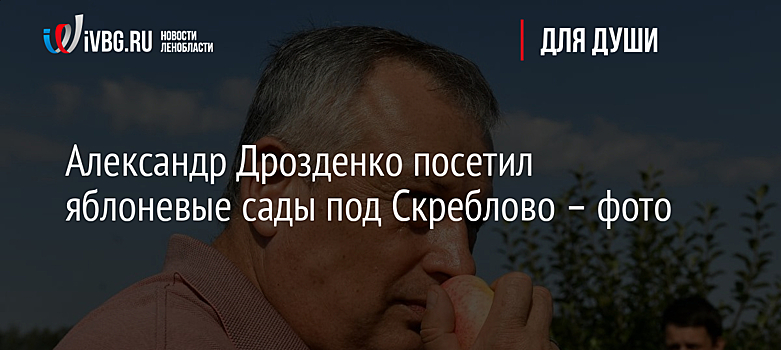 Александр Дрозденко посетил яблоневые сады под Скреблово – фото