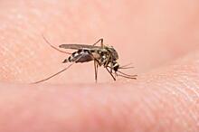 Ученые открыли гены, определяющие "вкус" человека для комаров