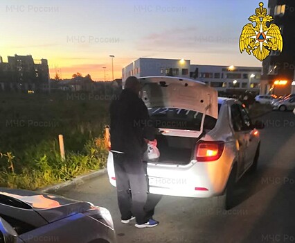 Два ребенка пострадали в ДТП на выходных